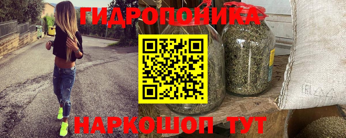 Канабис тримм  Вход с VPN  Конопля сатива  Бошки Шишки гибрид  Сунжа 